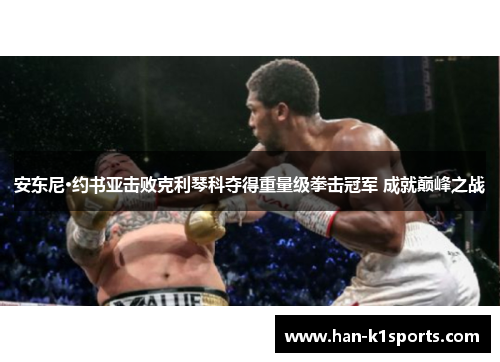 安东尼·约书亚击败克利琴科夺得重量级拳击冠军 成就巅峰之战