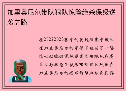 加里奥尼尔带队狼队惊险绝杀保级逆袭之路